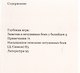 Глубокая игра: Заметки о петушиных боях у балийцев - фото 2