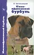 Южноафриканский бурбуль. История. Стандарт. Содержание. Разведение. Выставки - фото 1