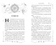 Бог Солнца (#2) - фото 6
