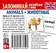 Комплект мини-карточек для изучения английского языка. Запоминай английские слова (7 в 1) - фото 4