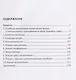 Методика проведения интерактивных лекционных занятий по трудовому праву. Учебно-методическое пособие - фото 2