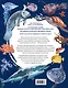Подводный мир. Большая иллюстрированная энциклопедия - фото 2