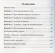 Задачи о турнирах - фото 2