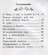 Дневник фокса Микки - фото 2