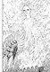 Берсерк. Том 14 (Berserk). Манга - фото 6