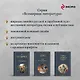 Мифы Древней Индии - фото 8