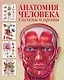 Анатомия человека. Системы и органы - фото 1