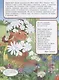 Вспоминаем лето! Мой первый альбом наблюдений. Учимся видеть и понимать. - фото 2
