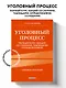 Уголовный процесс. Полный курс лекций со схемами, таблицами, определениями. 3-е издание - фото 4