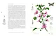Бабочки. Основы систематики, среда обитания, жизненный цикл и магия совершенства - фото 10