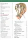 Большая энциклопедия животного мира - фото 3