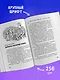 Тайна анонимных писем. Книга 4 - фото 5