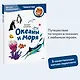 Океаны и моря. Детская энциклопедия (Чевостик) (Paperback) - фото 4