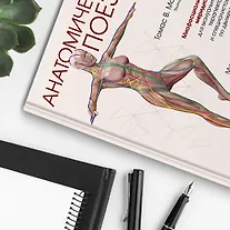 Анатомические поезда - фото 15