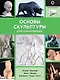Основы скульптуры для начинающих - фото 1