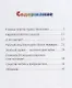 Тридцать два богатыря - фото 2