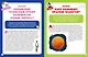 Большая книга почемучки. 365 вопросов и ответов на целый год - фото 8