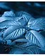 Тетрадь общая «Ночной сад» в ассортименте, 48 листов в клетку, A5 - Listoff - фото 1