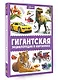 Гигантская энциклопедия в картинках - фото 3