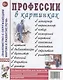 Профессии в картинках. Наглядное пособие для педагогов, логопедов, воспитателей и родителей - фото 1