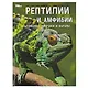 Рептилии и амфибии. Гекконы, лягушки и вараны. Энциклопедия - фото 1