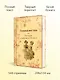 Гимназистки. Истории о девочках XIX века - фото 5