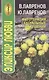 Фитотерапия сексуальных нарушений. Эликсир любви - фото 1