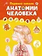 Первый атлас анатомии человека - фото 1