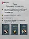 Дублинцы. Ранняя проза - фото 8