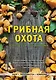 Грибная охота: советы опытного грибника - фото 1