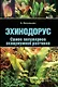 Эхинодорус. Самое популярное аквариумное растение (цвет.) - фото 1