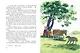 Рассказы и сказки о животных (ил. С. Ярового) - фото 7