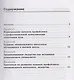 Формирование и развитие навыков коммуникативной культуры обучающихся в высшей школе. Учебно-методическое пособие - фото 2