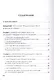 SEO-копирайтинг 2.0 Как писать тексты в эру семантич. поиска (Шамина) - фото 2