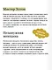 Эмма. Вечные истории - фото 7