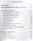 Русский пульсар. Исследование. Книга 4 - фото 2