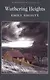 Wuthering Heights - фото 2