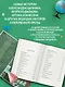 Удивительные истории о школе - фото 4