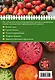 Томаты. От рассады до урожая (нов.оф.) - фото 2
