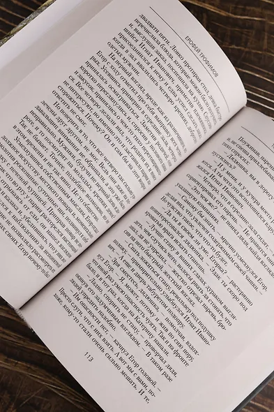 Толмач. Зигзаги судьбы - фото 8