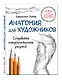 Анатомия для художников - фото 3
