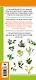 Цветы и травы. Мир удивительных растений. Наглядный карманный определитель - фото 2