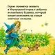 Тайна заброшенного замка - фото 9