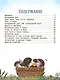 Безопасный мир - фото 6