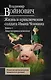 Жизнь и необычайные приключения солдата Ивана Чонкина : Кн. 1 : Лицо неприкосновенное - фото 1