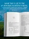 Встал и пошел. Истории о том, как двигаться вперед, несмотря ни на какие преграды - фото 5