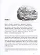 Путешествия англичанина по России, Крыму, Кавказу и Грузии в XIX веке - фото 3