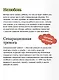 Надежная опора: детско-родительская привязанность и здоровое развитие человека - фото 7