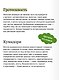 Японская анимация. От кабуки и камисибай до студии «Гибли», Миядзаки и Такахаты - фото 7