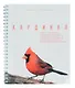 Тетрадь в клетку Listoff, "Красивые птицы", 96 листов, в ассортименте - фото 3